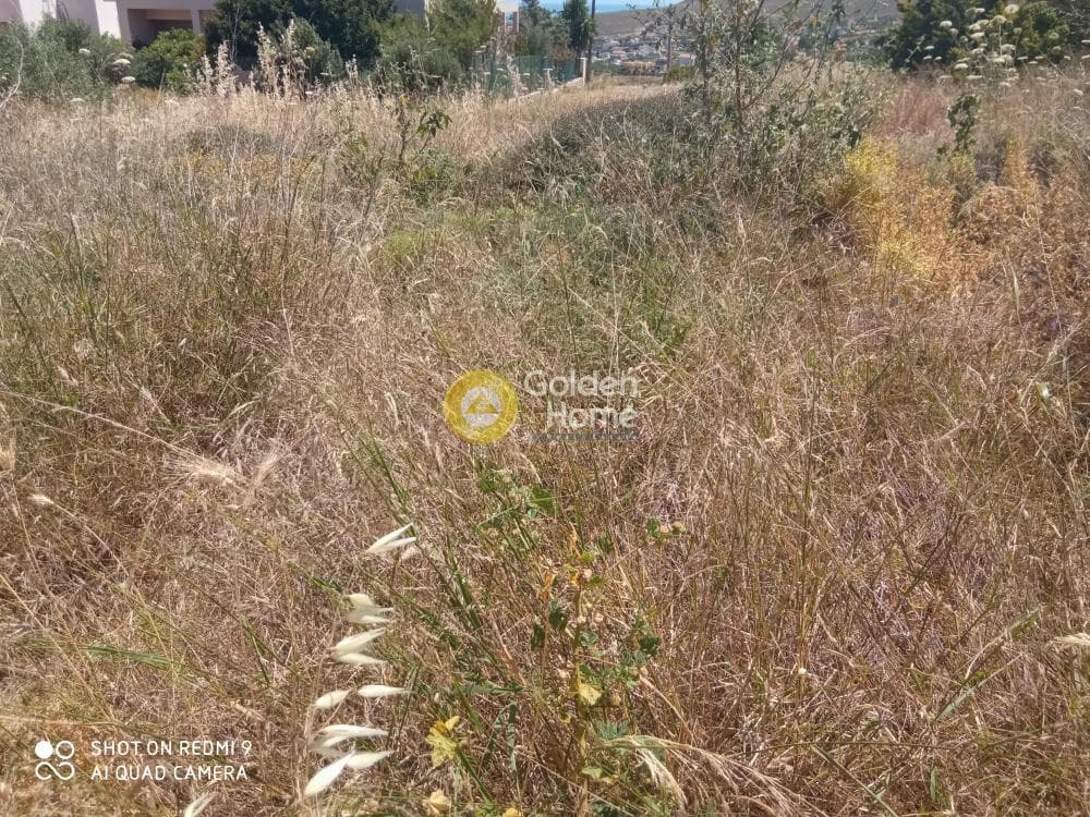 Building Plot in Vatheianos Kampos, Gouves — Photo 3 of 5