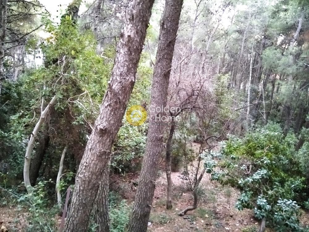 Οικόπεδο στην Μεγάλα Σχοινία Α, Αχαρνές — Φωτογραφία 1 από 5