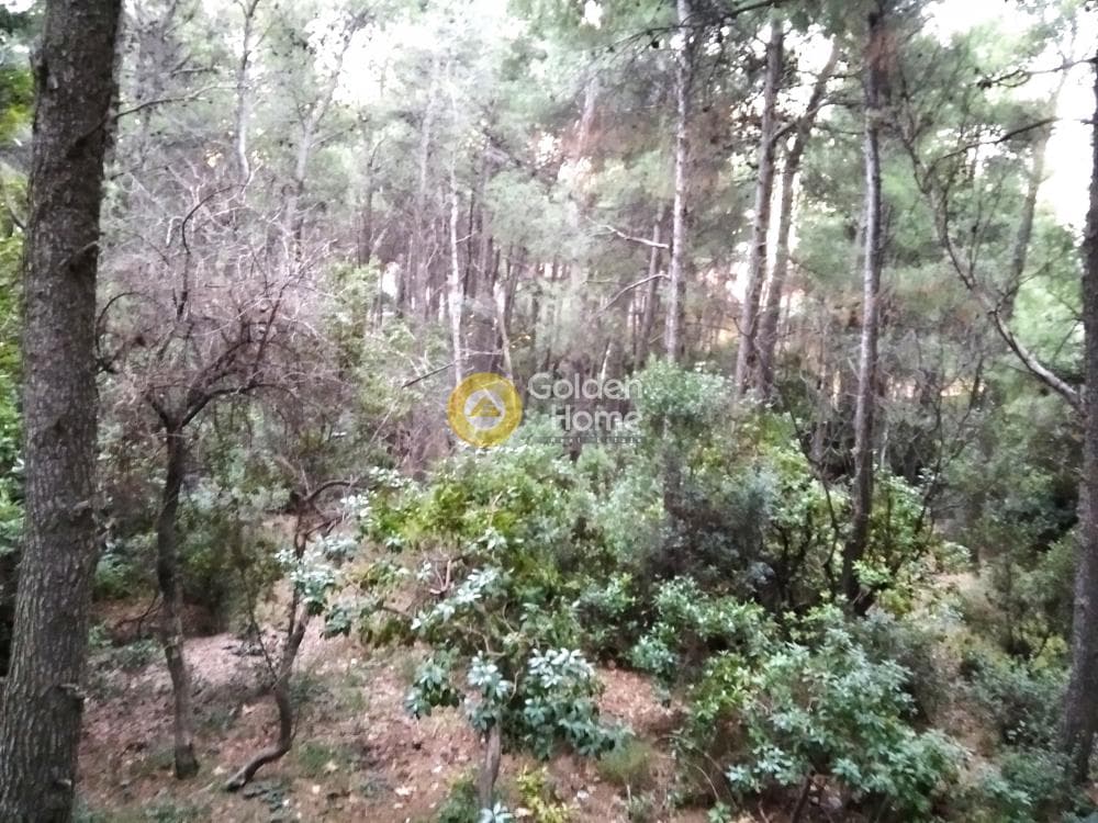 Οικόπεδο στην Μεγάλα Σχοινία Α, Αχαρνές — Φωτογραφία 5 από 5