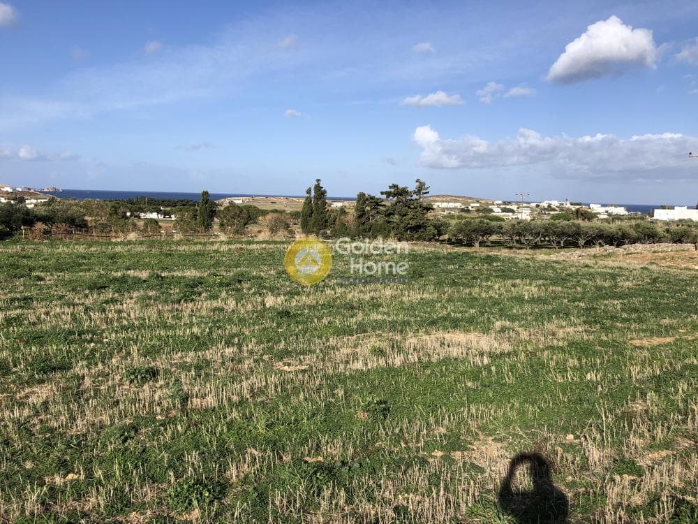 Parcel in Parasporos, Paros — Photo 3 of 21