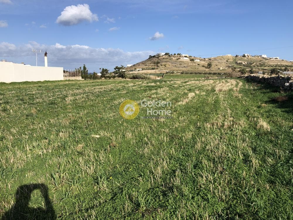 Parcel in Parasporos, Paros — Photo 9 of 21