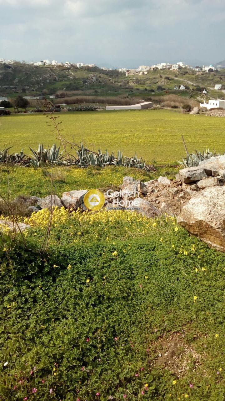 Building Plot in Galanado, Naxos — Photo 2 of 10