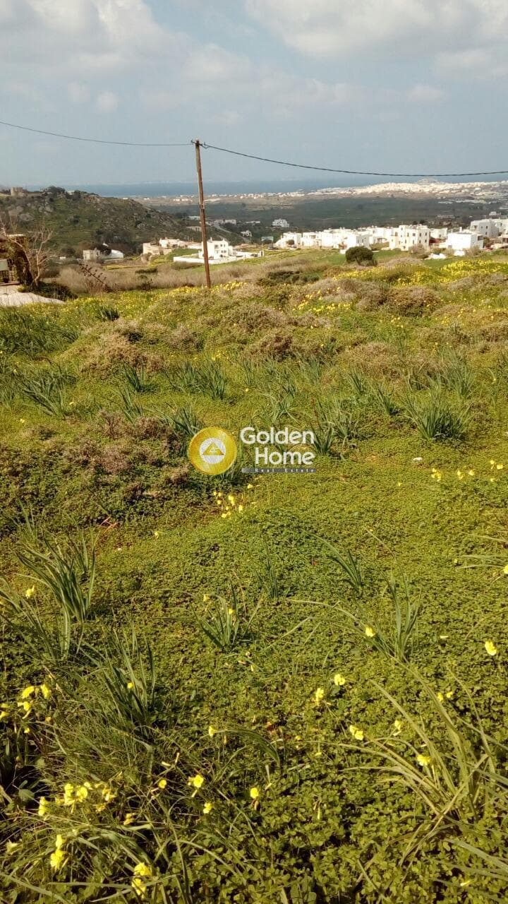 Building Plot in Galanado, Naxos — Photo 5 of 10