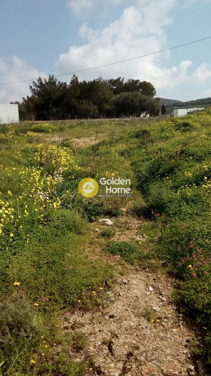 Building Plot in Galanado, Naxos — Photo 7 of 10