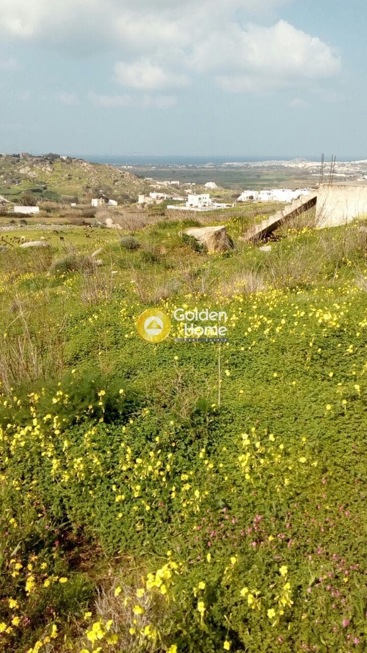 Building Plot in Galanado, Naxos — Photo 8 of 10