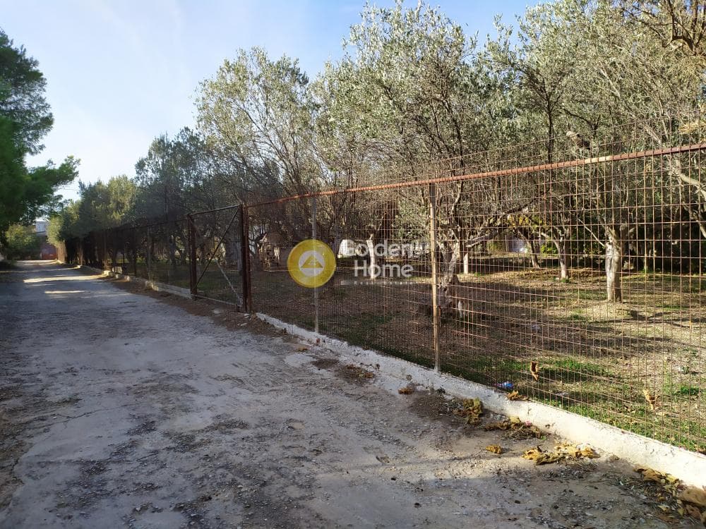Οικόπεδο στην Άγιος Σεραφείμ, Αρτέμιδα (Λούτσα) — Φωτογραφία 1 από 4