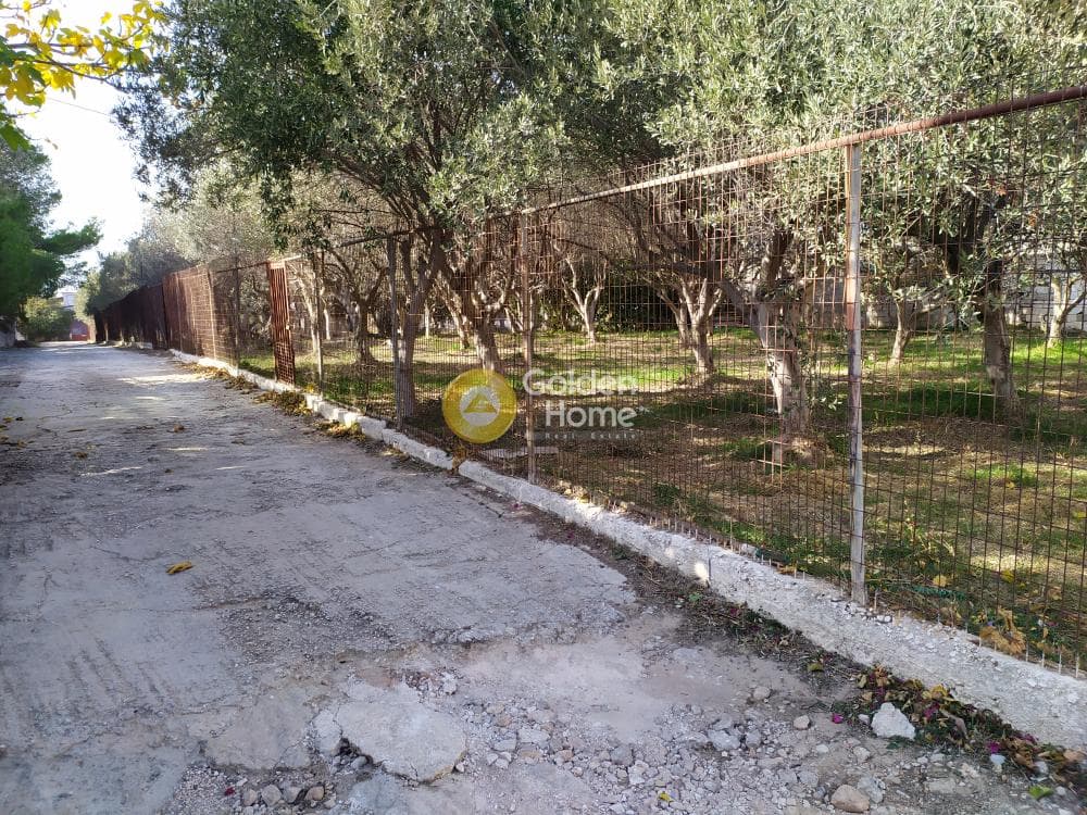 Οικόπεδο στην Άγιος Σεραφείμ, Αρτέμιδα (Λούτσα) — Φωτογραφία 4 από 4
