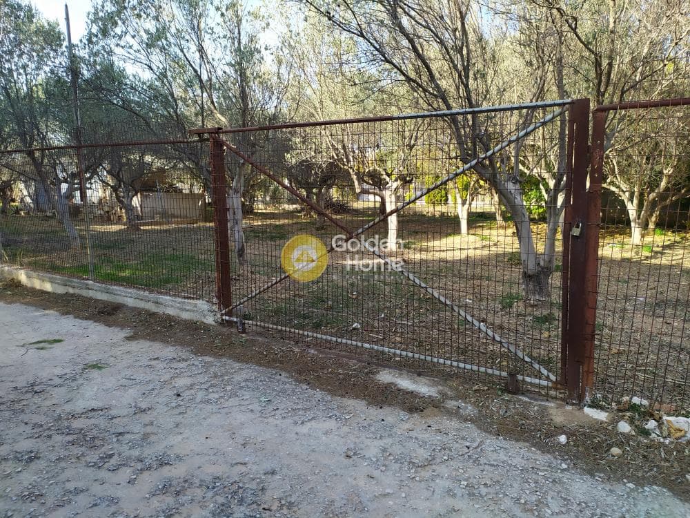Οικόπεδο στην Άγιος Σεραφείμ, Αρτέμιδα (Λούτσα) — Φωτογραφία 2 από 4