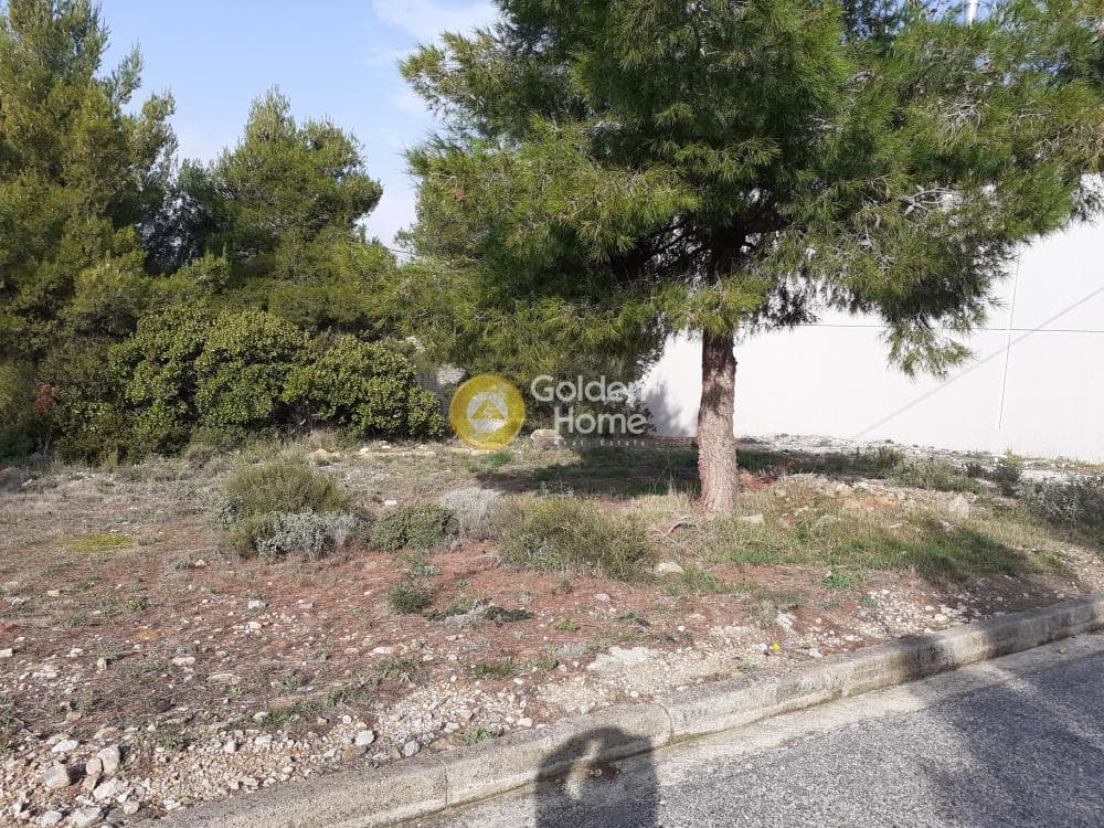 Building Plot in Patima, Chalandri — Photo 2 of 3
