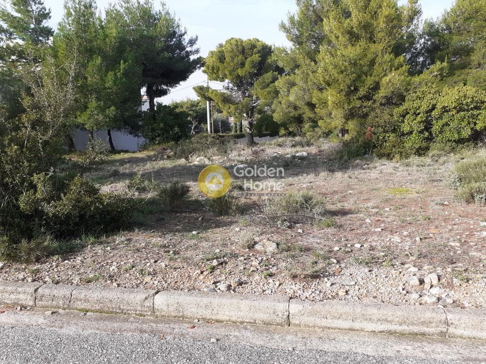 Building Plot in Patima, Chalandri — Photo 3 of 3
