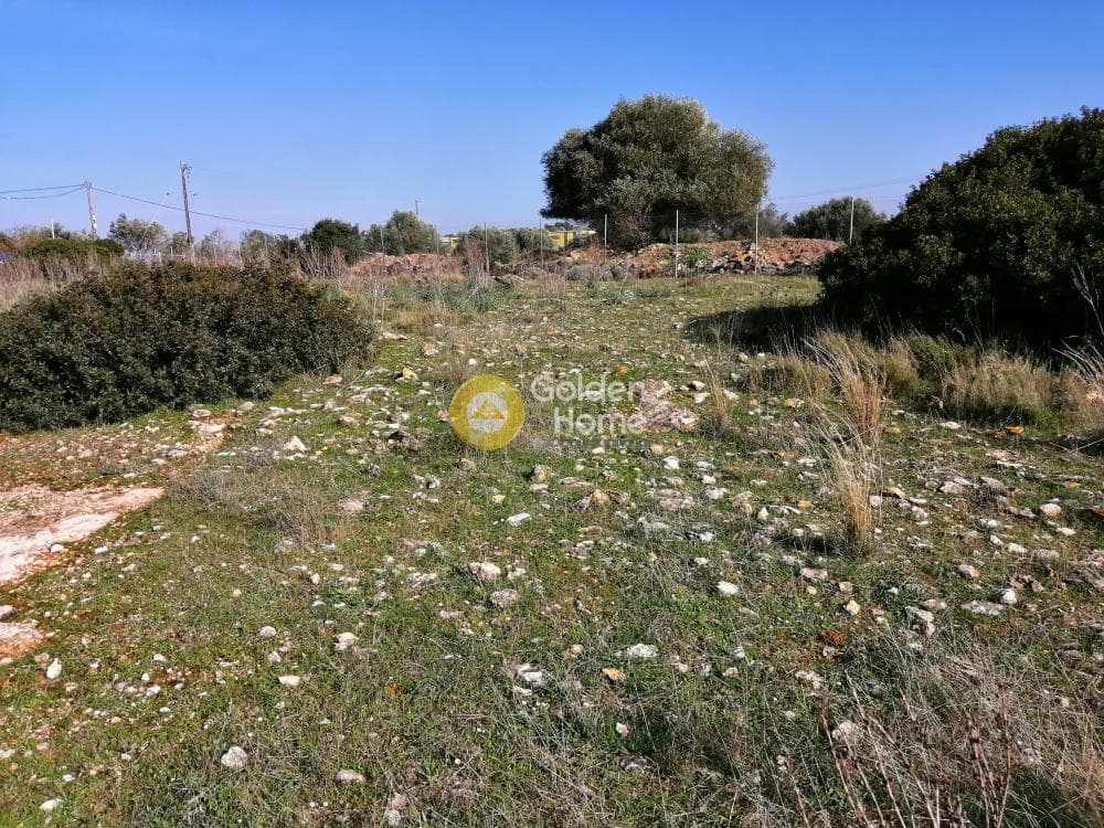 Αγροτεμάχιο στην ΒΙ.ΠΕ, Κορωπί — Φωτογραφία 3 από 6