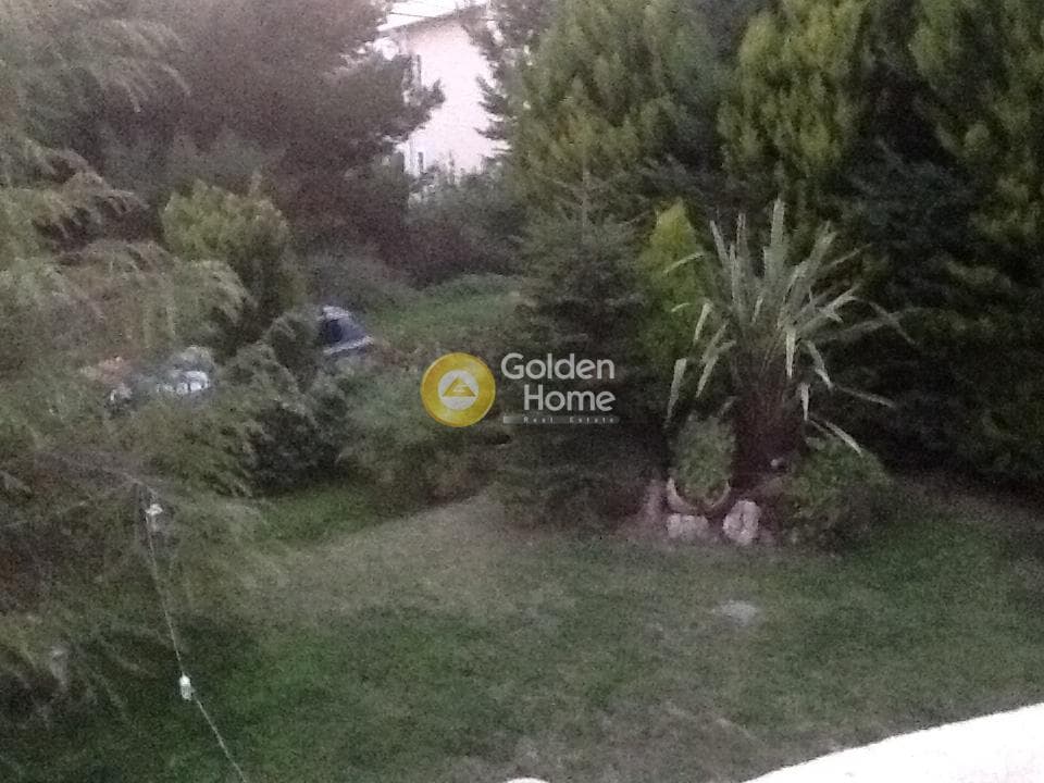 Μονοκατοικία στην Διώνη, Πικέρμι — Φωτογραφία 12 από 14