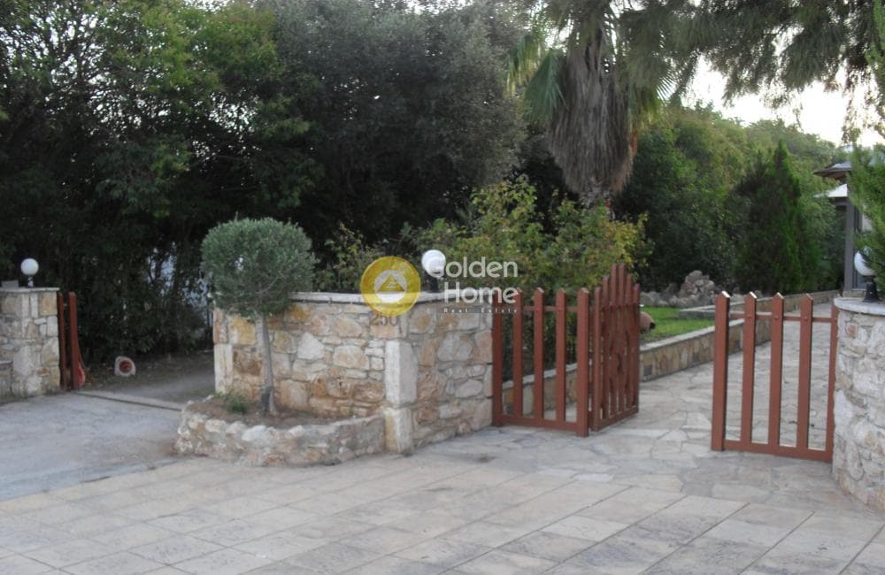 Αγροτεμάχιο στην Καισάρεια, Παλλήνη — Φωτογραφία 2 από 5
