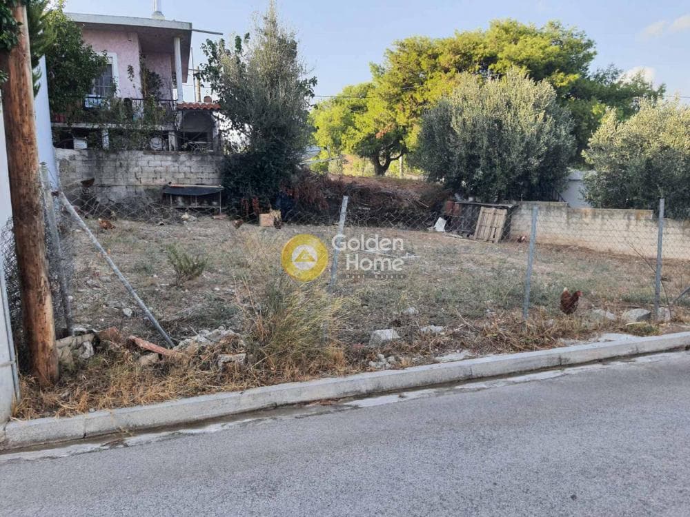 Οικόπεδο στην Κάτω Χαρβάτι, Παλλήνη — Φωτογραφία 1 από 4