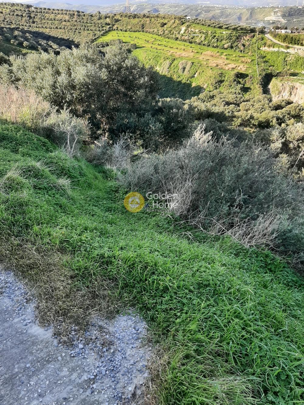 Parcel in Lofoupoli, Temenos — Photo 4 of 23