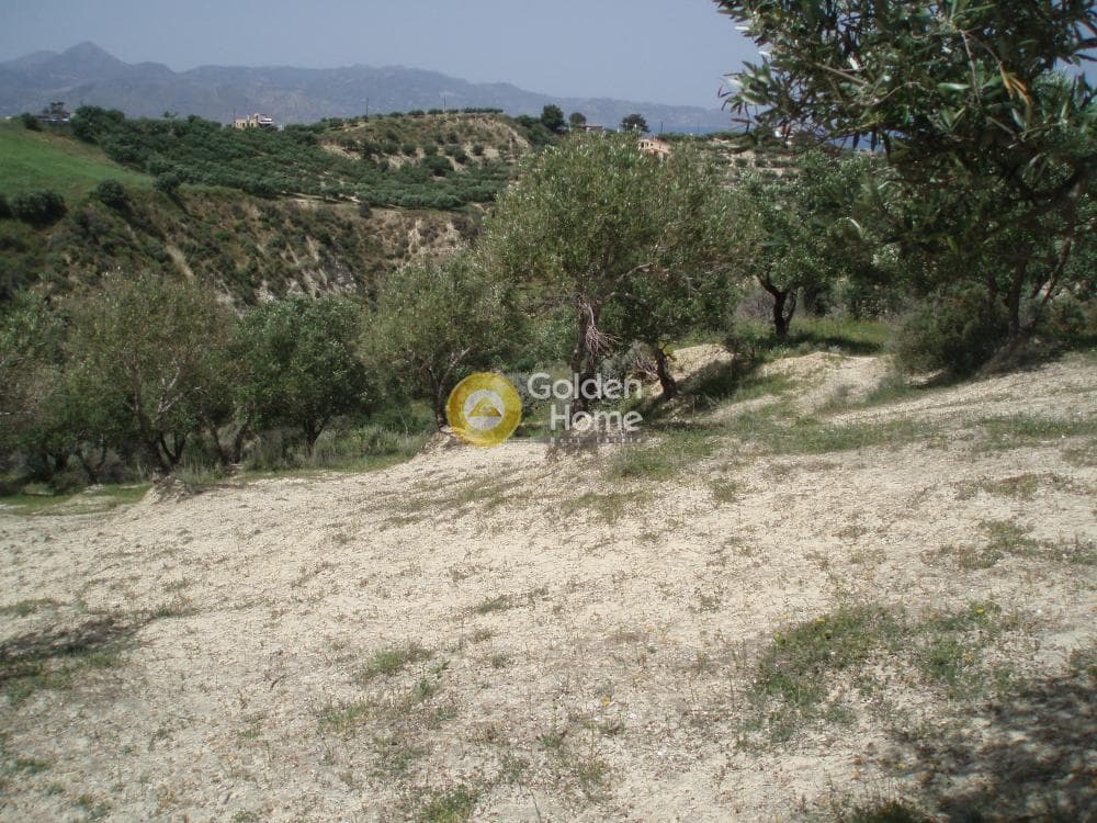 Parcel in Lofoupoli, Temenos — Photo 5 of 23