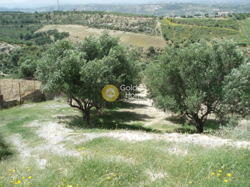Parcel in Lofoupoli, Temenos — Photo 6 of 23