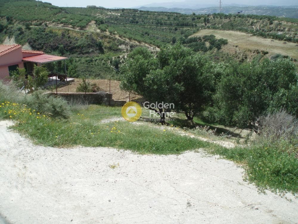 Parcel in Lofoupoli, Temenos — Photo 7 of 23
