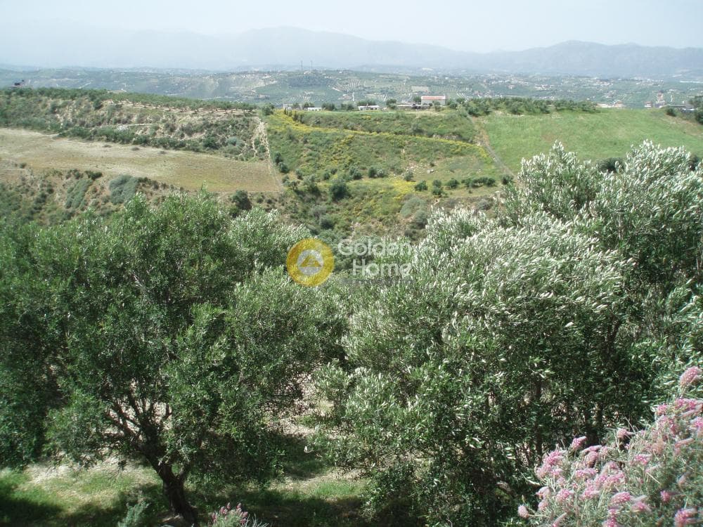Parcel in Lofoupoli, Temenos — Photo 8 of 23