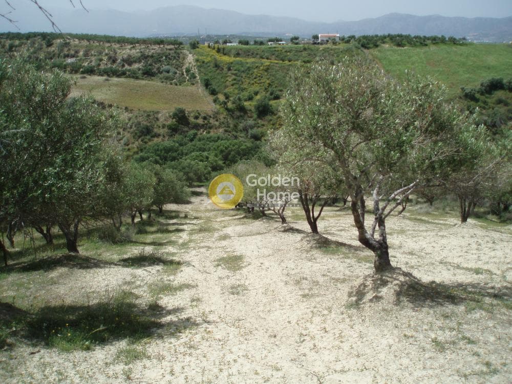 Parcel in Lofoupoli, Temenos — Photo 9 of 23