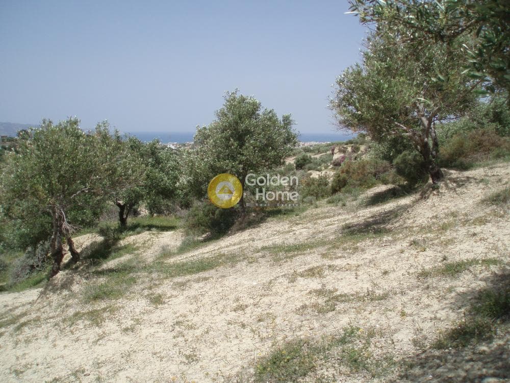 Parcel in Lofoupoli, Temenos — Photo 10 of 23