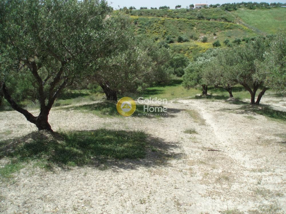 Parcel in Lofoupoli, Temenos — Photo 11 of 23
