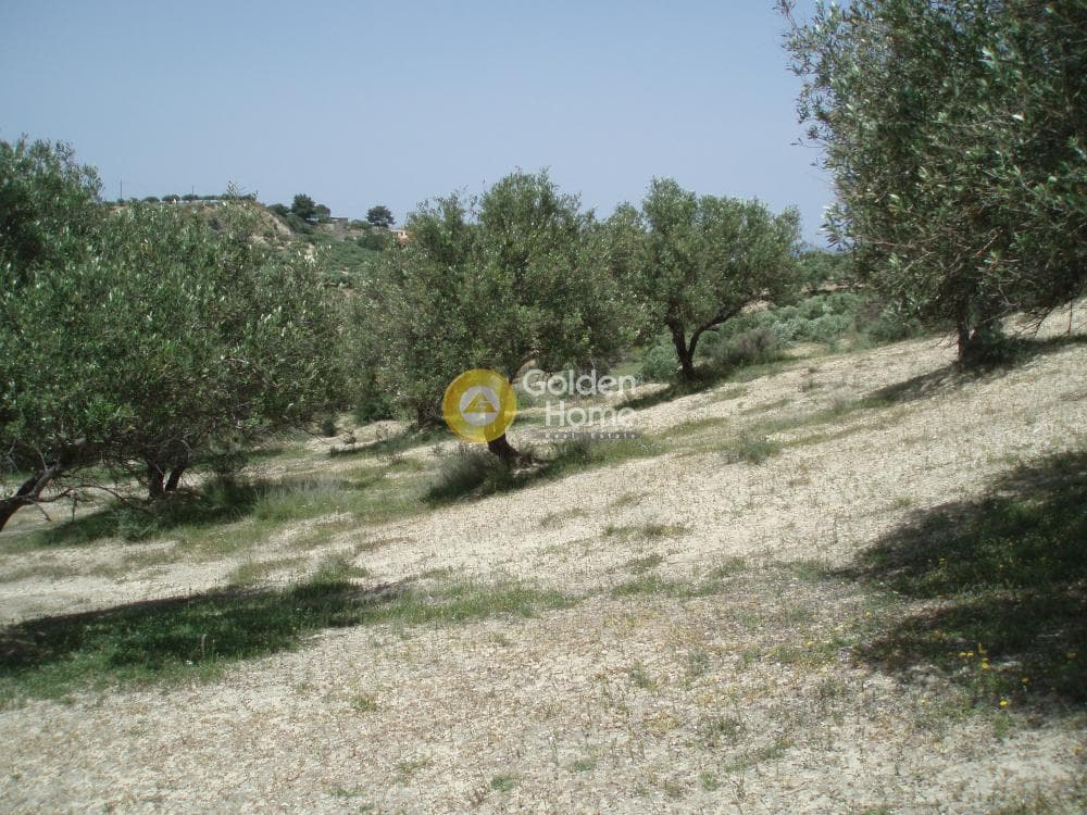 Parcel in Lofoupoli, Temenos — Photo 12 of 23