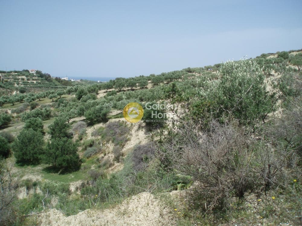 Parcel in Lofoupoli, Temenos — Photo 13 of 23