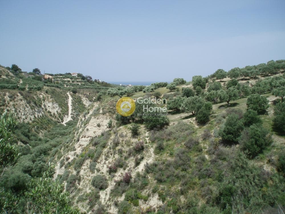 Parcel in Lofoupoli, Temenos — Photo 15 of 23