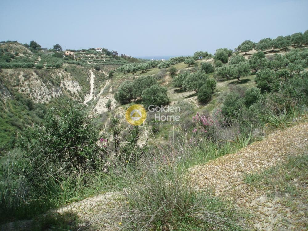 Parcel in Lofoupoli, Temenos — Photo 17 of 23