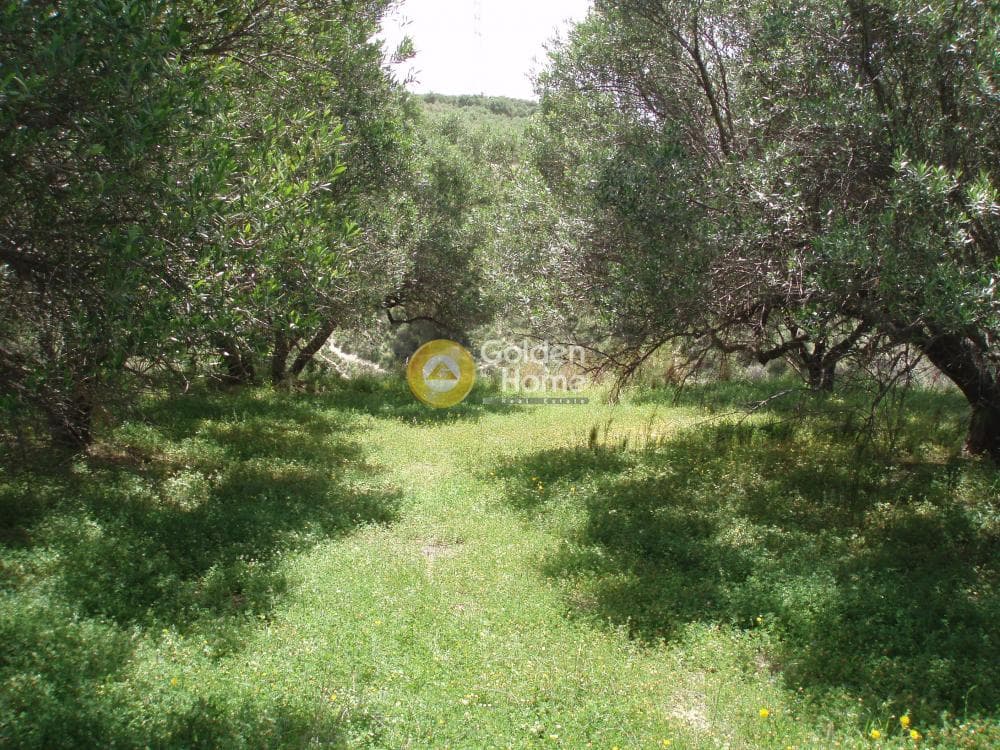 Parcel in Lofoupoli, Temenos — Photo 18 of 23