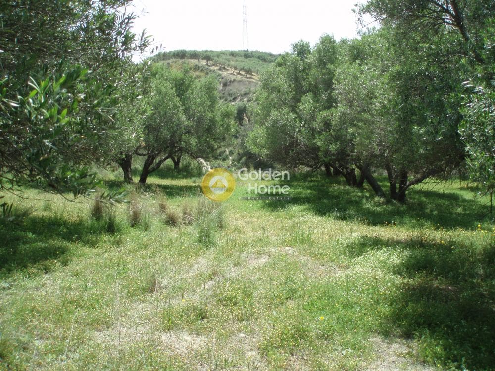 Parcel in Lofoupoli, Temenos — Photo 20 of 23
