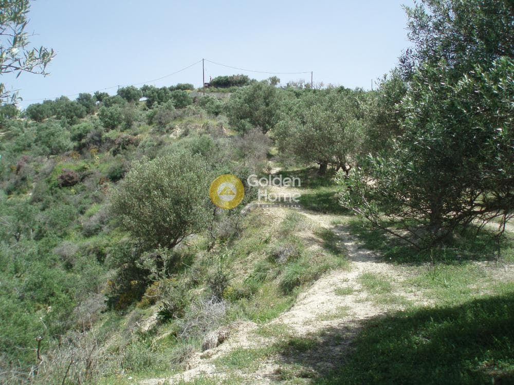 Parcel in Lofoupoli, Temenos — Photo 21 of 23
