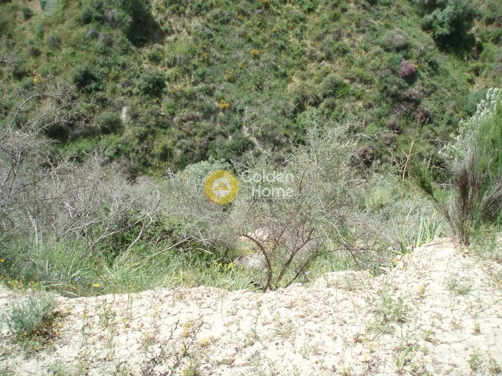 Parcel in Lofoupoli, Temenos — Photo 23 of 23