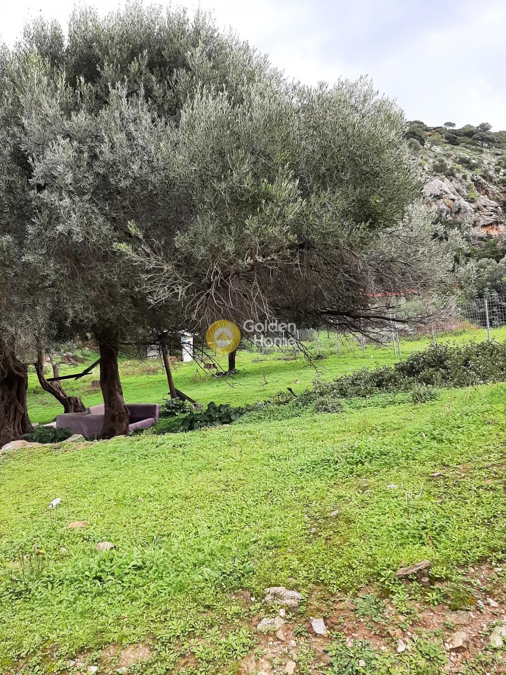 Οικόπεδο στην Ρογδιά, Γάζι — Φωτογραφία 2 από 5