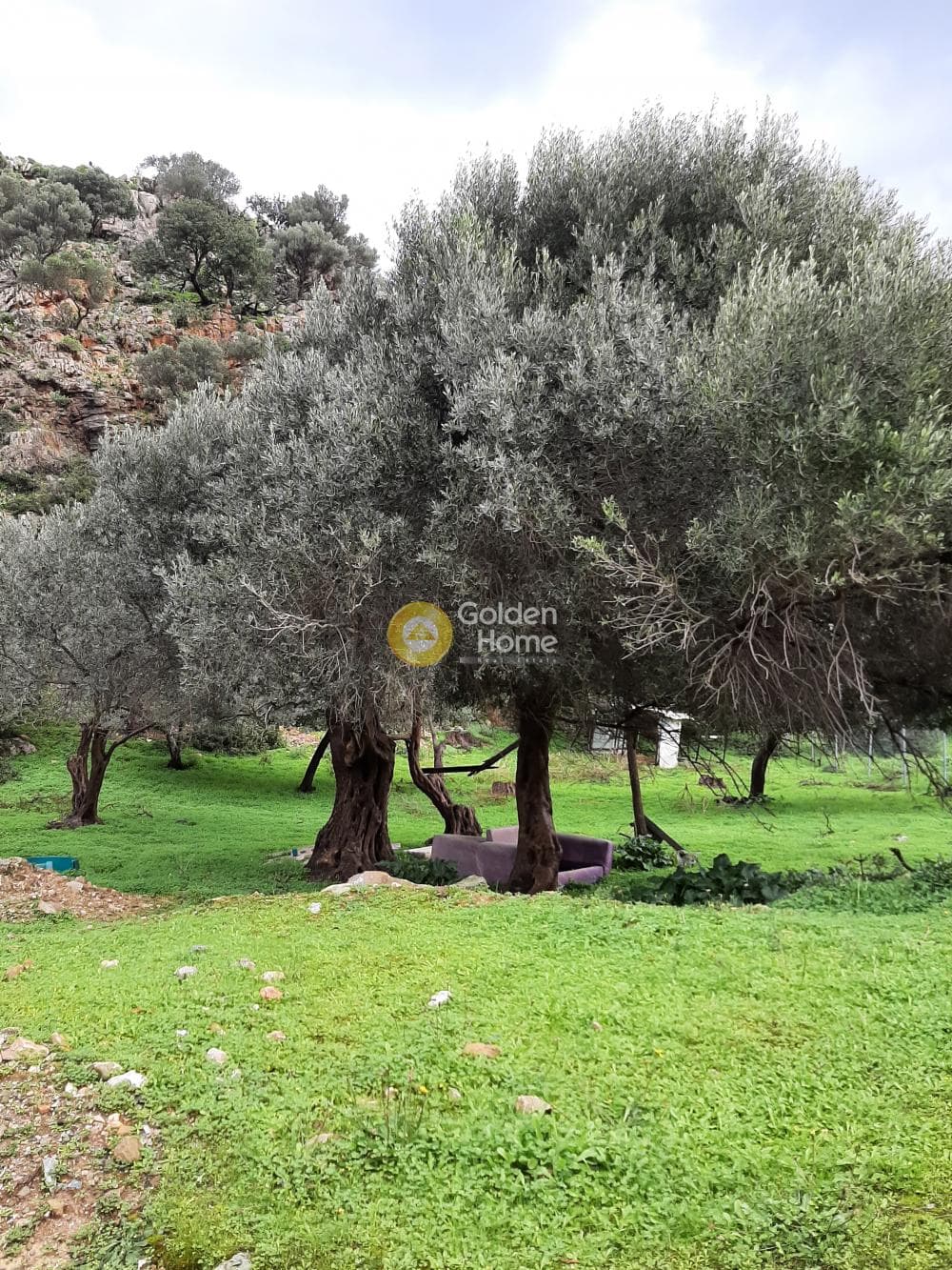 Οικόπεδο στην Ρογδιά, Γάζι — Φωτογραφία 3 από 5