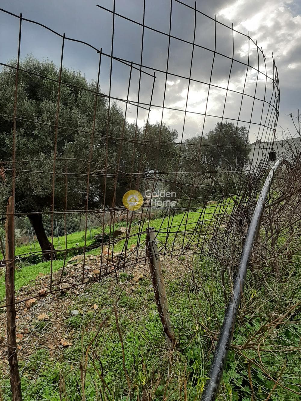 Οικόπεδο στην Ρογδιά, Γάζι — Φωτογραφία 4 από 5
