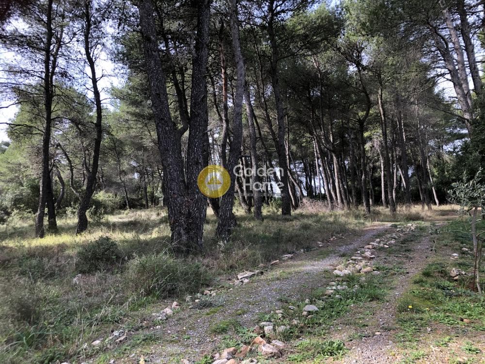 Parcel in Amigdaleza, Stamata — Photo 6 of 13