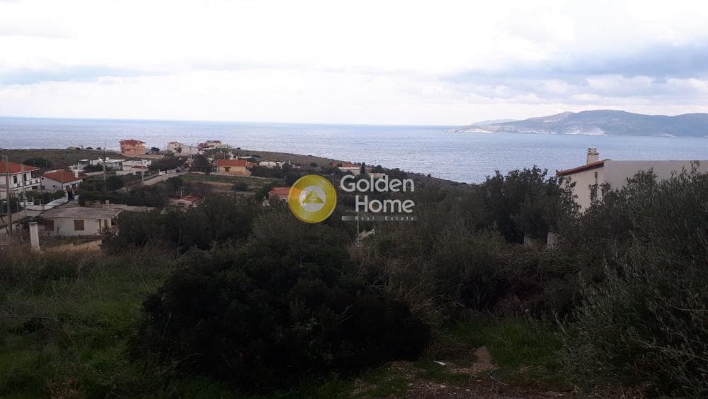Αγροτεμάχιο στην Πόρτο Εννιά, Κερατέα — Φωτογραφία 5 από 7