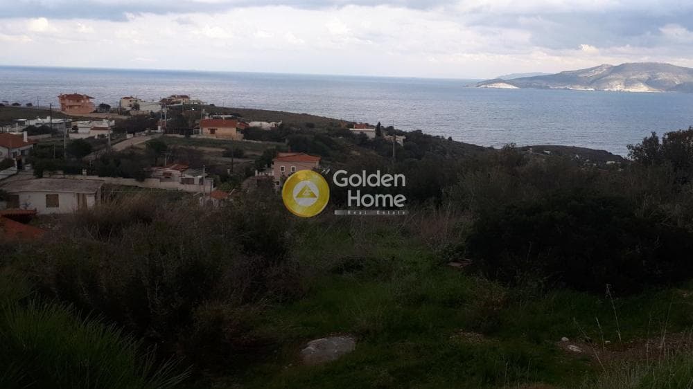 Αγροτεμάχιο στην Πόρτο Εννιά, Κερατέα — Φωτογραφία 6 από 7