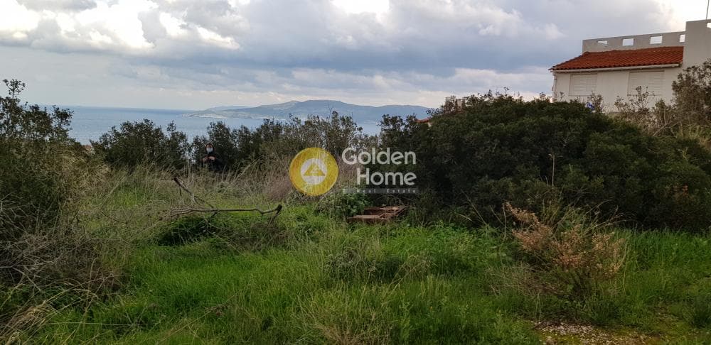 Αγροτεμάχιο στην Πόρτο Εννιά, Κερατέα — Φωτογραφία 3 από 7