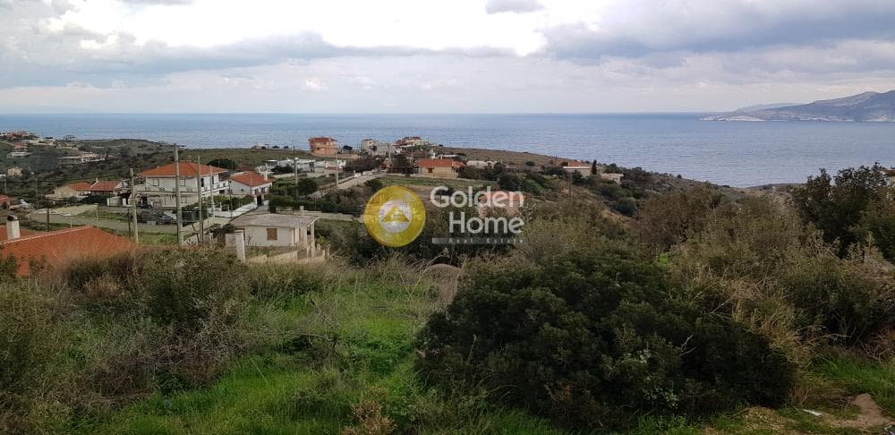 Αγροτεμάχιο στην Πόρτο Εννιά, Κερατέα — Φωτογραφία 4 από 7