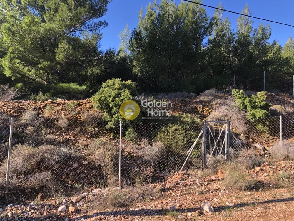 Οικόπεδο στην Δασαμάρι, Πικέρμι — Φωτογραφία 1 από 7