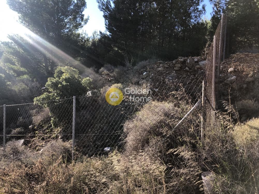 Οικόπεδο στην Δασαμάρι, Πικέρμι — Φωτογραφία 4 από 7