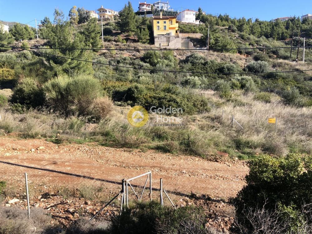 Οικόπεδο στην Δασαμάρι, Πικέρμι — Φωτογραφία 6 από 7
