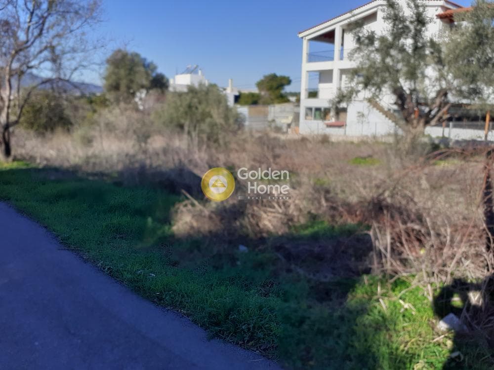 Οικόπεδο στην Κάτω Χαρβάτι, Παλλήνη — Φωτογραφία 2 από 5