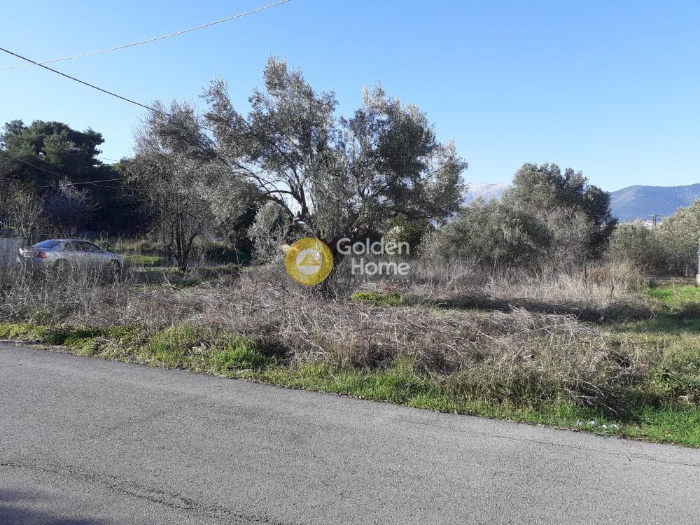 Οικόπεδο στην Κάτω Χαρβάτι, Παλλήνη — Φωτογραφία 3 από 5