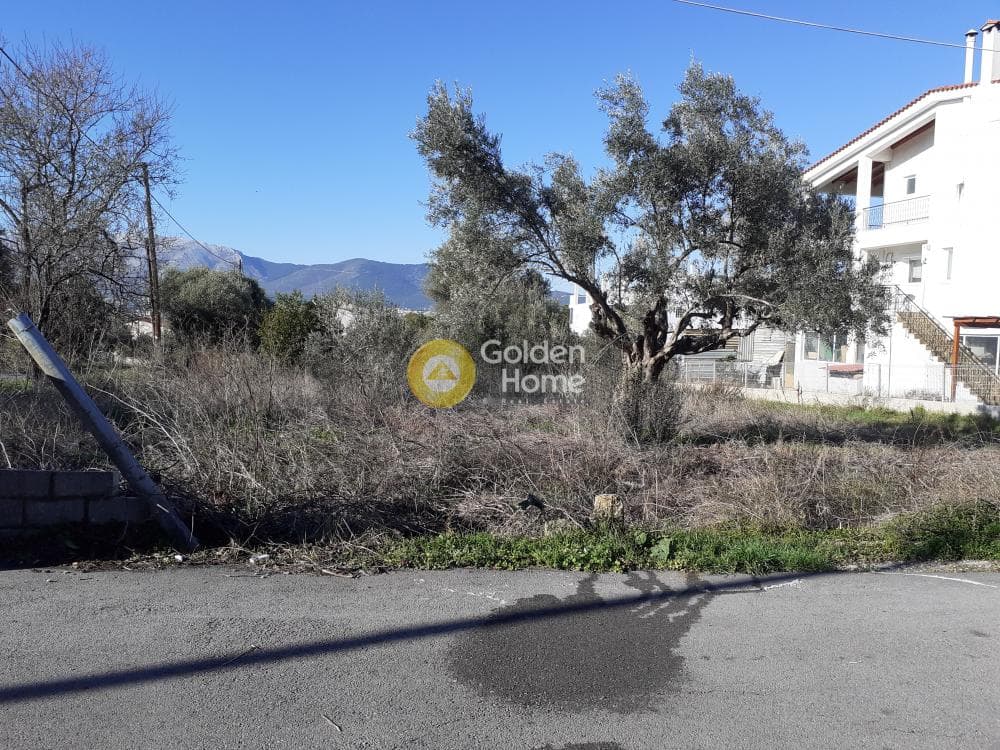 Οικόπεδο στην Κάτω Χαρβάτι, Παλλήνη — Φωτογραφία 1 από 5