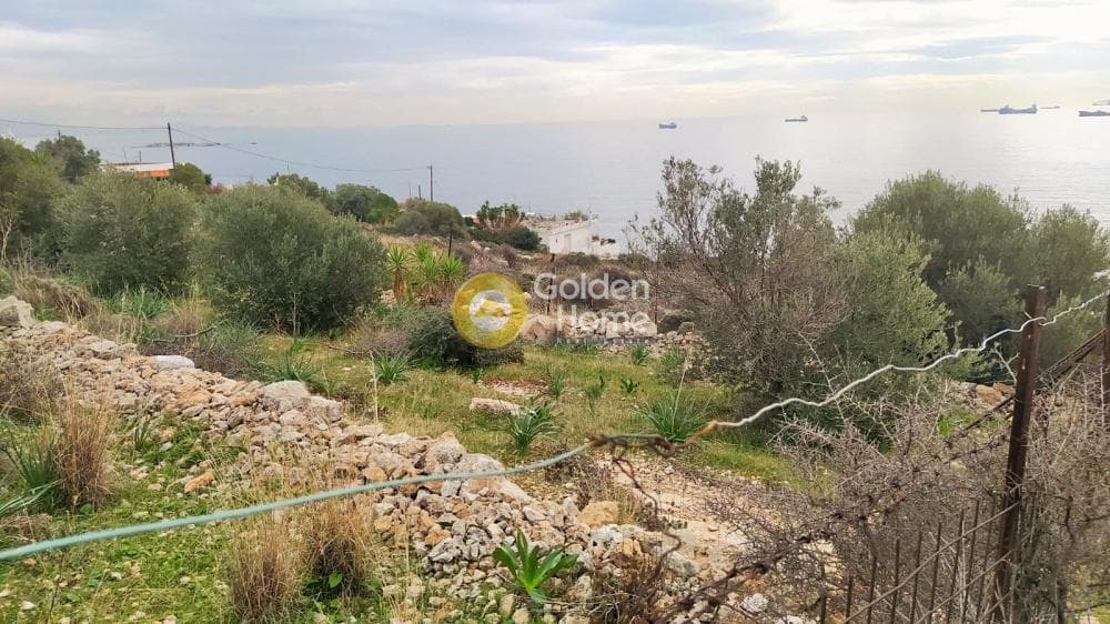 Οικόπεδο στην Κυνόσουρα, Αμπελάκια — Φωτογραφία 2 από 10