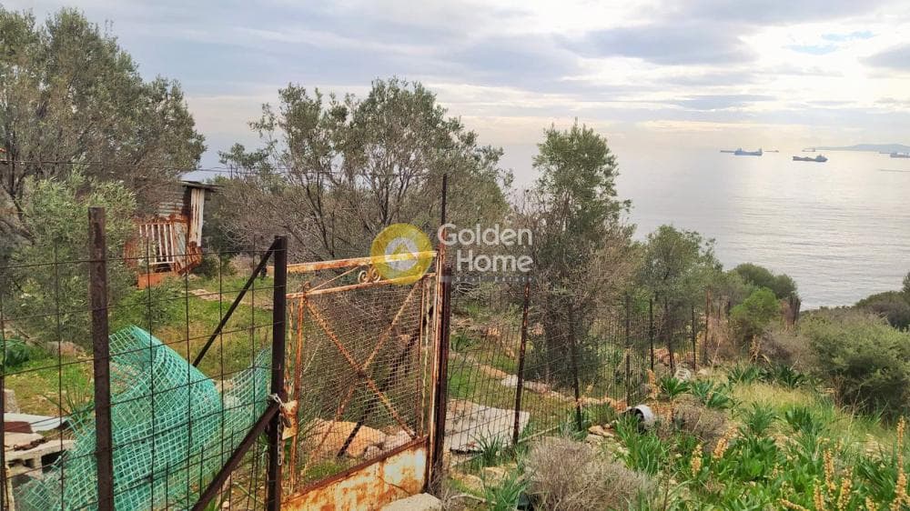 Οικόπεδο στην Κυνόσουρα, Αμπελάκια — Φωτογραφία 3 από 10